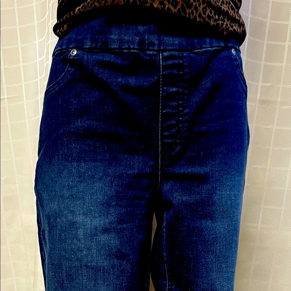Chico’s Perfect Stretch Jeggings